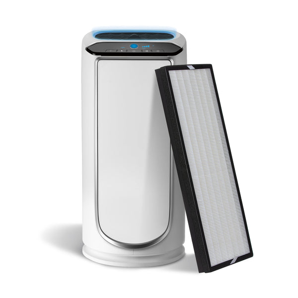 Climestar Compatible Filter for Rowenta XD6076 True HEPA Allergen Remover for PU6020 and PU6010 Intense Pure Air XL Purifier